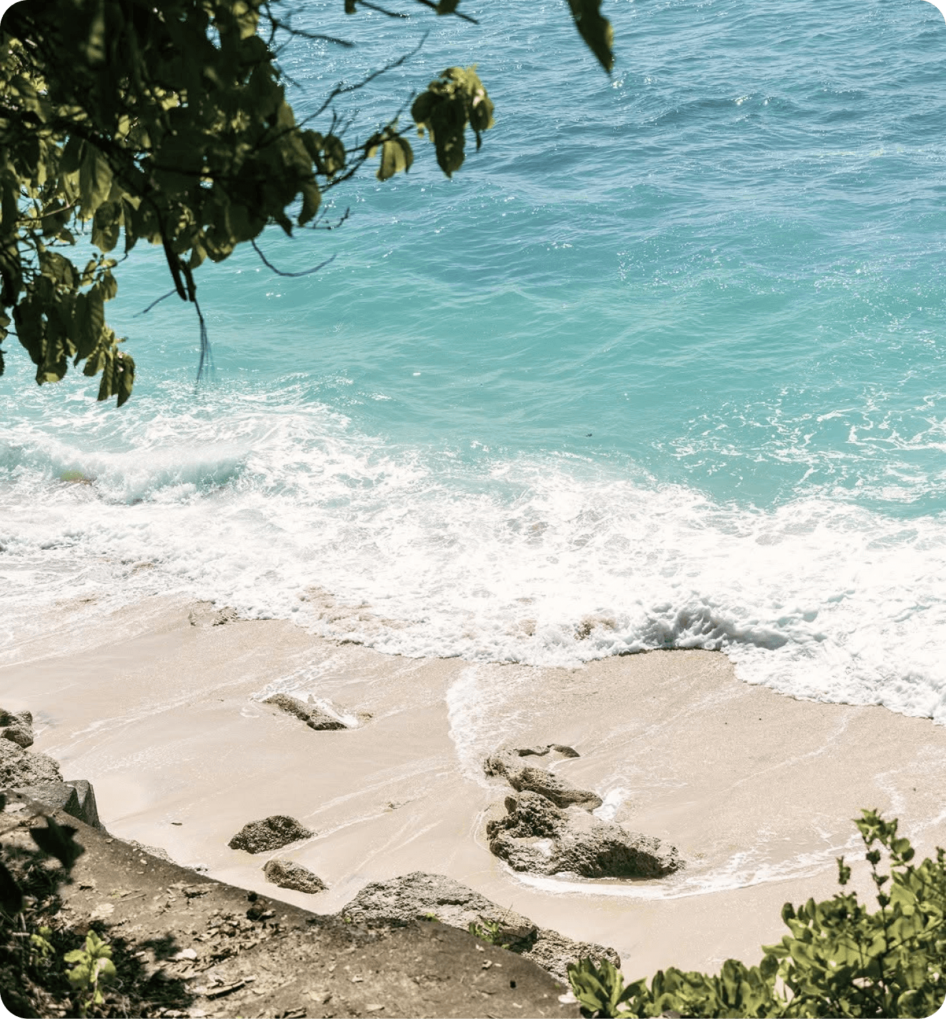Beach & Ocean