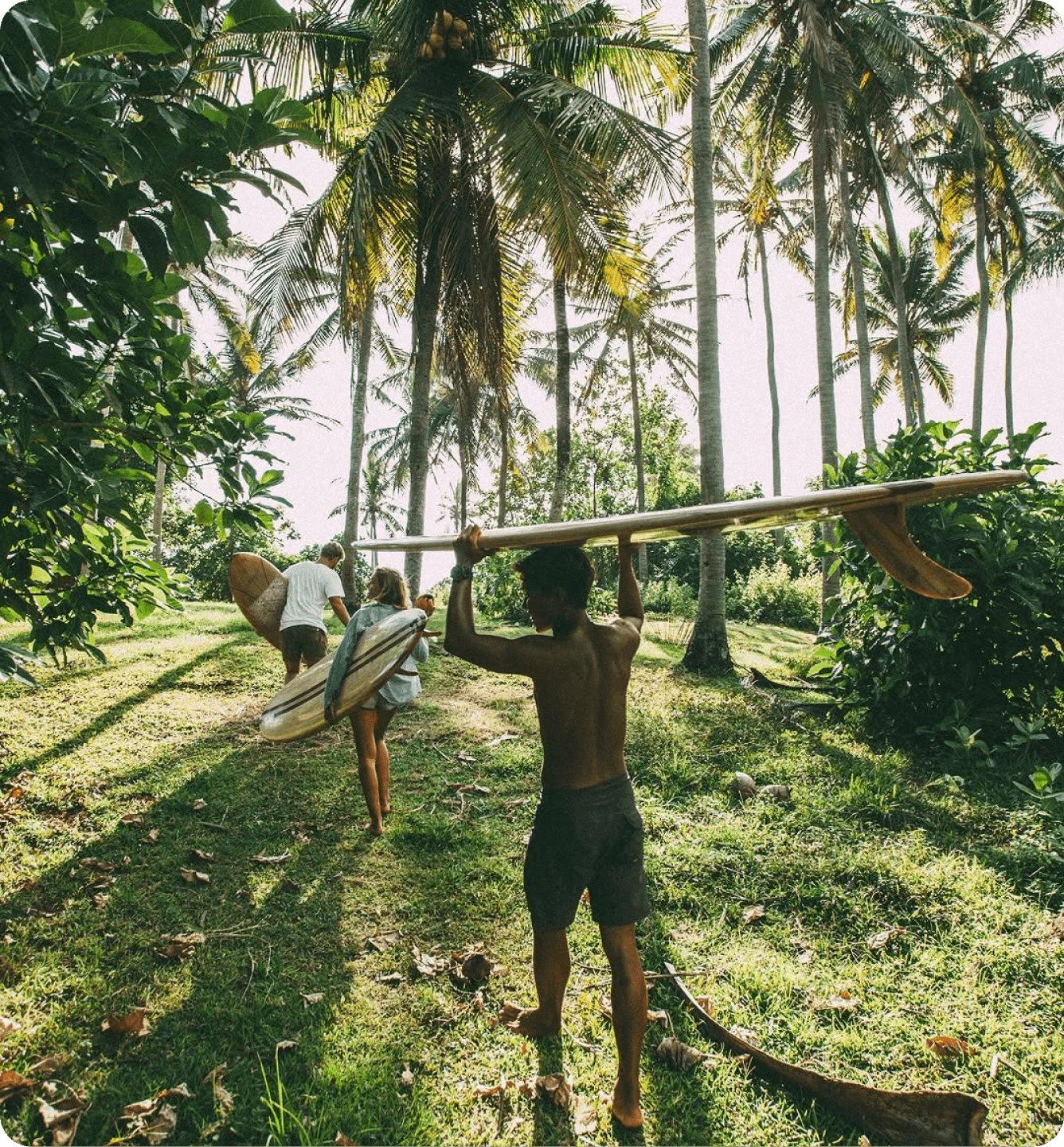 Tropical Lifestyle